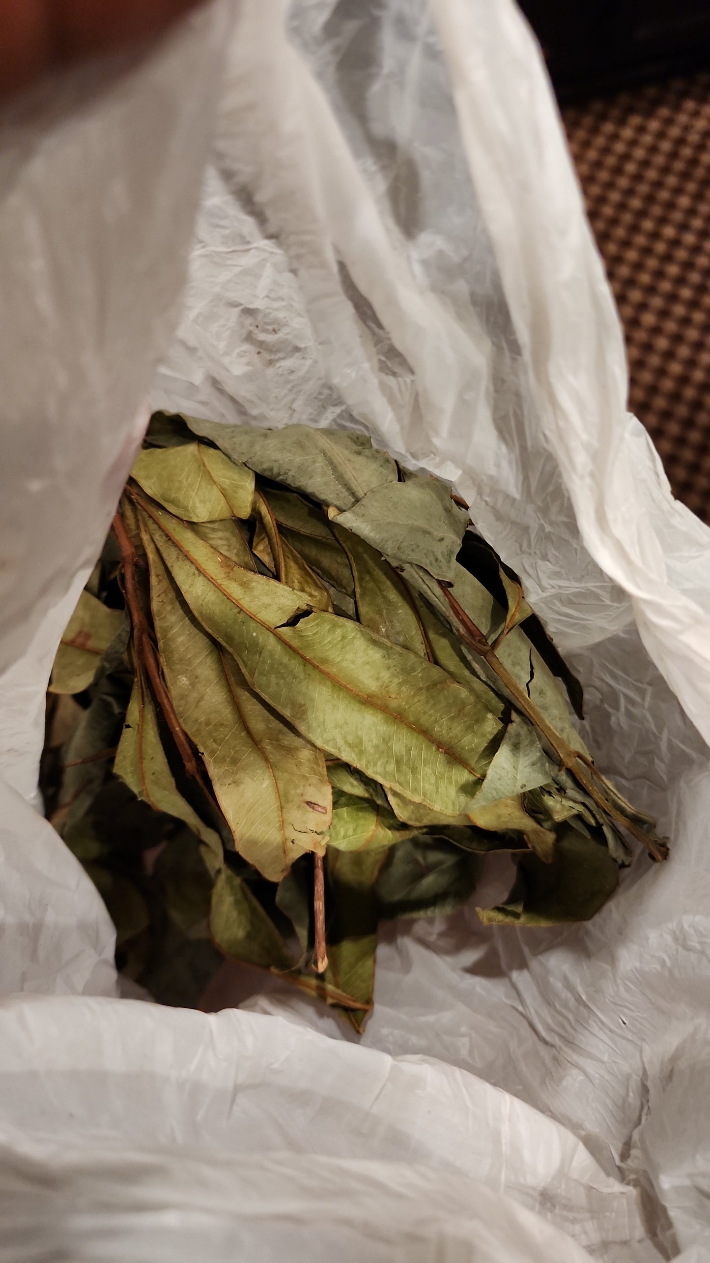 MANGO LEAF FROM GRENADA 🇬🇩