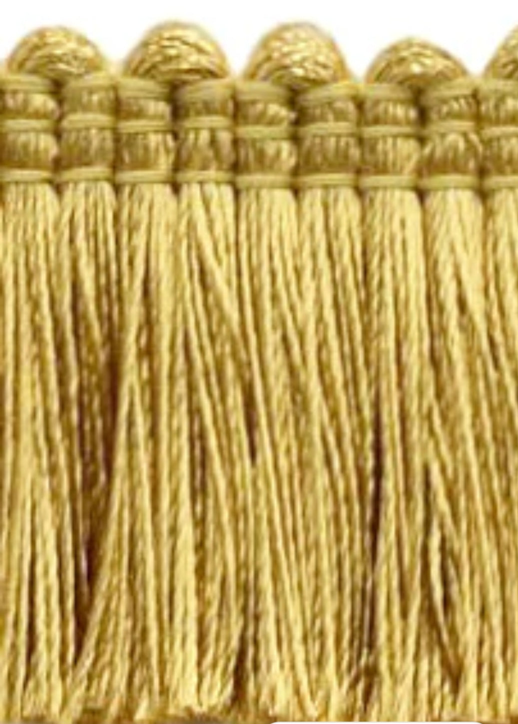 Brush fringes by yard